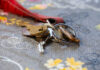 พวงกุญแจสีมงคลตามวันเกิด: เลือกยังไงให้ชีวิตไม่พัง ไม่ใช่แค่สวยแต่ต้อง ‘เสริม’ จริง พวงกุญแจสีมงคลตามวันเกิด: เลือกยังไงให้ชีวิตไม่พัง ไม่ใช่แค่สวยแต่ต้อง 'เสริม' จริง